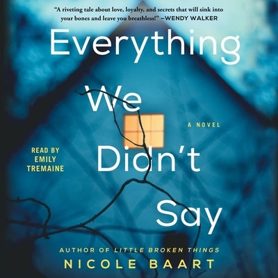 Everything We Didn't Say by Baart, Nicole
