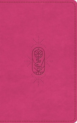 ESV Kid's Bible, Thinline, Red Letter (Trutone, Berry, the True Vine Design) by Esv Bibles