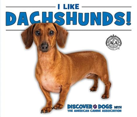 I Like Dachshunds! by Bozzo, Linda