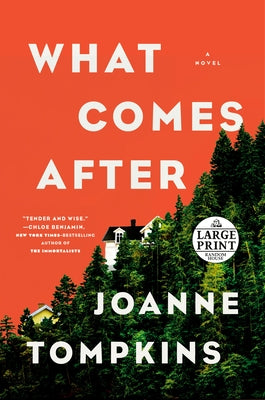 What Comes After by Tompkins, Joanne