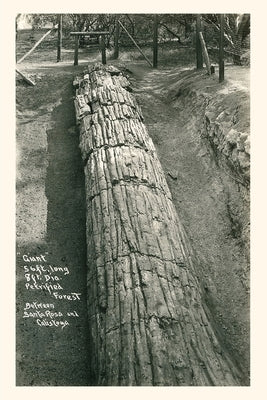 Vintage Journal Giant Petrified Log, Santa Rosa by Found Image Press