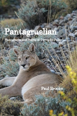 Pantagruelian: Photographs and Poems of Torres del Paine by Brooke