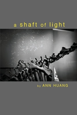A shaft of light by Huang, Ann