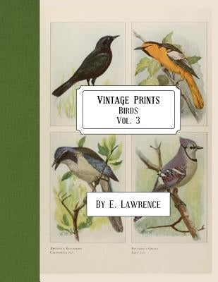 Vintage Prints: Birds: Vol. 3 by Lawrence, E.