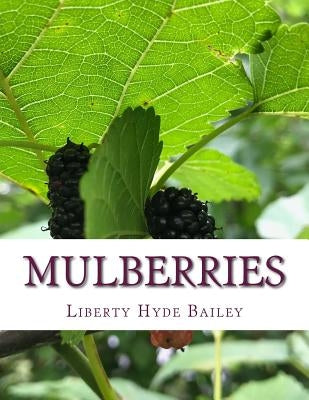Mulberries by Chambers, Roger