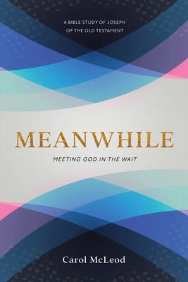Meanwhile: Meeting God in the Wait by McLeod, Carol