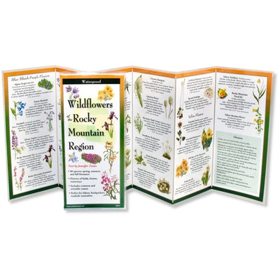 Wildflowers of the Rocky Mountain Region by Toews, Jennifer