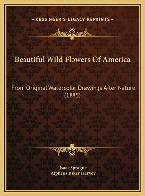 Beautiful Wild Flowers Of America: From Original Watercolor Drawings After Nature (1885) by Sprague, Isaac