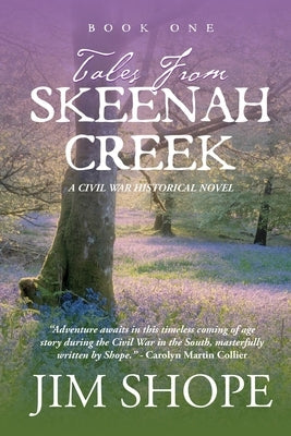 Tales From Skeenah Creek: A Civil War Historical Fiction Novel by Shope, Jim