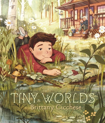 Tiny Worlds: A Story about Appreciating the Small Things by Cicchese, Brittany