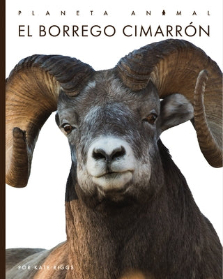 El Borrego Cimarrón by Riggs, Kate