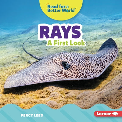 Rays: A First Look by Leed, Percy