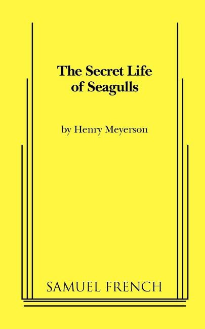 The Secret Life of Seagulls by Meyerson, Henry