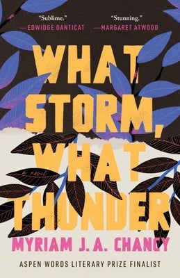 What Storm, What Thunder by Chancy, Myriam J. a.