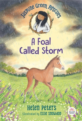 Jasmine Green Rescues: A Foal Called Storm by Peters, Helen