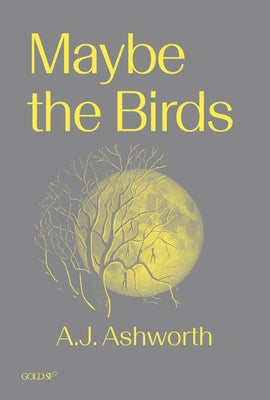 Maybe the Birds by Ashworth, A. J.