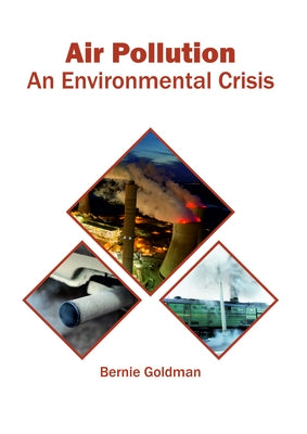 Air Pollution: An Environmental Crisis by Goldman, Bernie