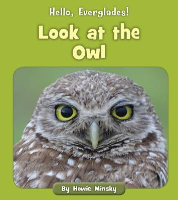 Look at the Owl by Minsky, Howie
