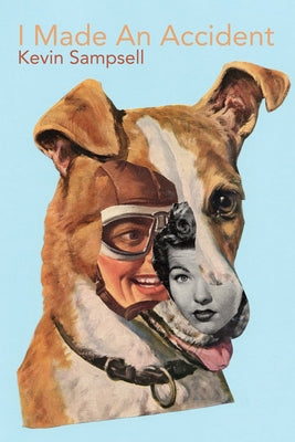 I Made an Accident by Sampsell, Kevin