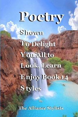 Poetry Styles Book Fourteen by Stylists, Alliance