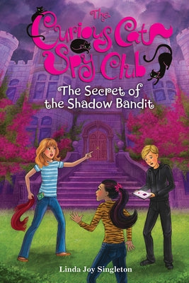 The Secret of the Shadow Bandit: 4 by Singleton, Linda Joy