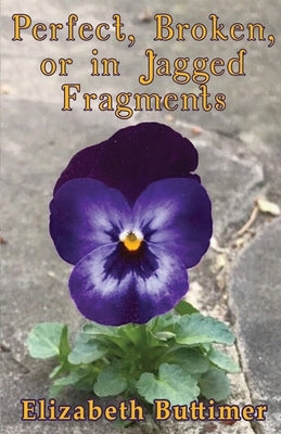 Perfect, Broken or in Jagged Fragments by Buttimer, Elizabeth P.