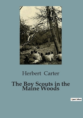 The Boy Scouts in the Maine Woods by Carter, Herbert
