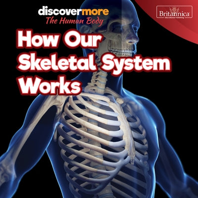 How Our Skeletal System Works by Morris, Dwight