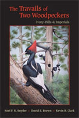 The Travails of Two Woodpeckers: Ivory-Bills & Imperials by Snyder, Noel F. R.
