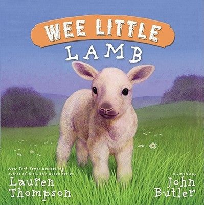 Wee Little Lamb by Thompson, Lauren