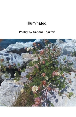 Illuminated by Thaxter, Sandra
