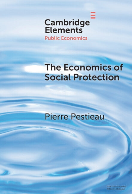 The Economics of Social Protection by Pestieau, Pierre