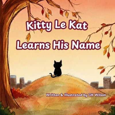 Kitty Le Kat Learns His Name by Wilson, Gk