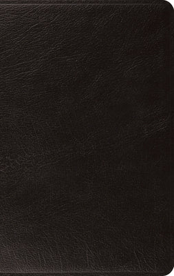 ESV Large Print Thinline Bible (Black) by