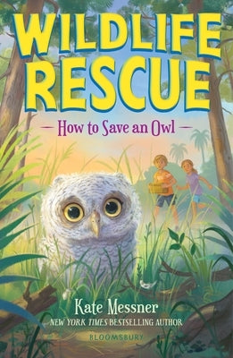 How to Save an Owl by Messner, Kate