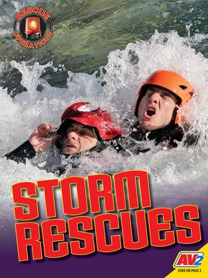 Storm Rescues by Lewis, Mark L.