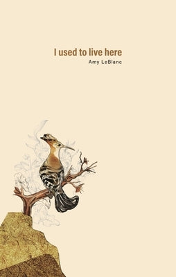 I Used to Live Here by LeBlanc, Amy