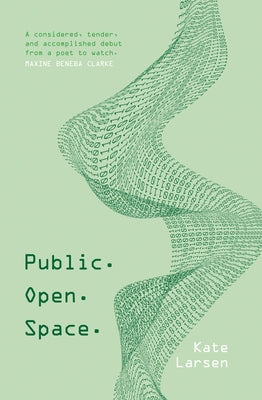 Public. Open. Space by Larsen, Kate