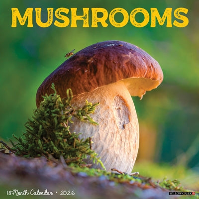 Mushrooms 2026 12 X 12 Wall Calendar by Willow Creek Press