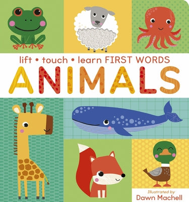 Lift Touch and Learn First Words: Animals by Craven, Villetta