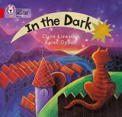 In the Dark: Band 02a/Red a by Llewellyn, Claire