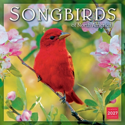 Songbirds of North America by Steve and Dave Maslowski