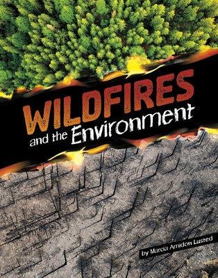 Wildfires and the Environment by Lusted, Marcia Amidon