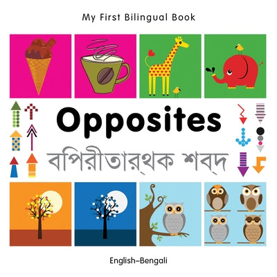 Opposites by Milet Publishing