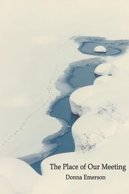 The Place of Our Meeting by Emerson, Donna