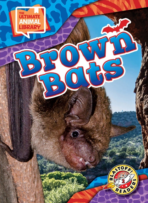 Brown Bats by Scheffer, Janie