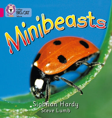Minibeasts: Band 01a/Pink a by Hardy, Siobhan