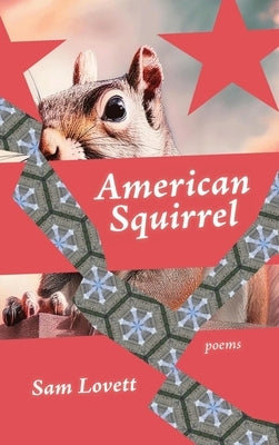 American Squirrel by Lovett, Sam
