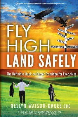 Fly High Land Safely by Watson-Druee, Neslyn