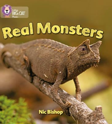 Real Monsters: Yellow / Band 3 by Bishop, Nic